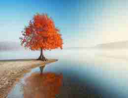 ai专﻿业‌哪‌个‍学​校‌好‍